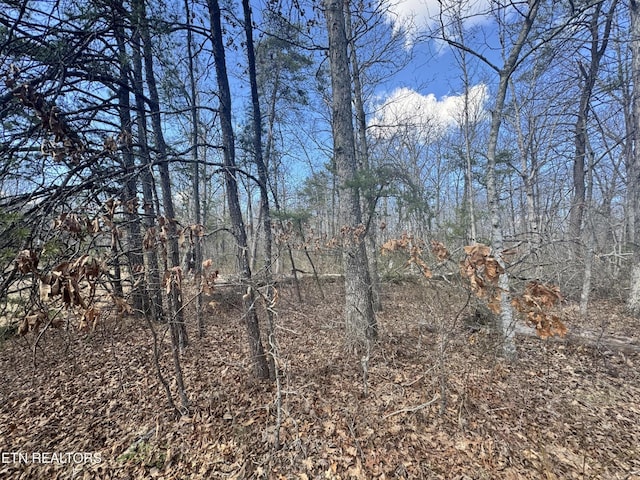 0 Divide Trl, Monterey, TN 38574 - photo 7