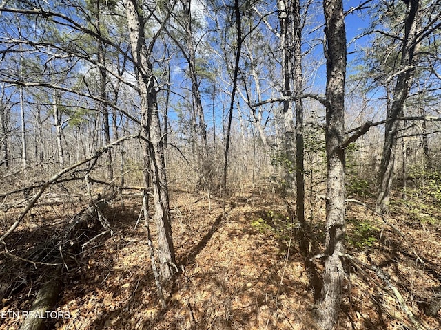 0 Divide Trl, Monterey, TN 38574 - photo 2