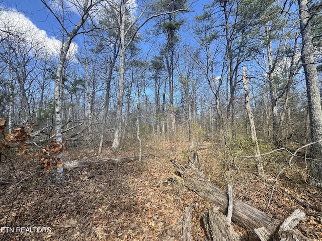 0 Divide Trl, Monterey, TN 38574 - photo 6