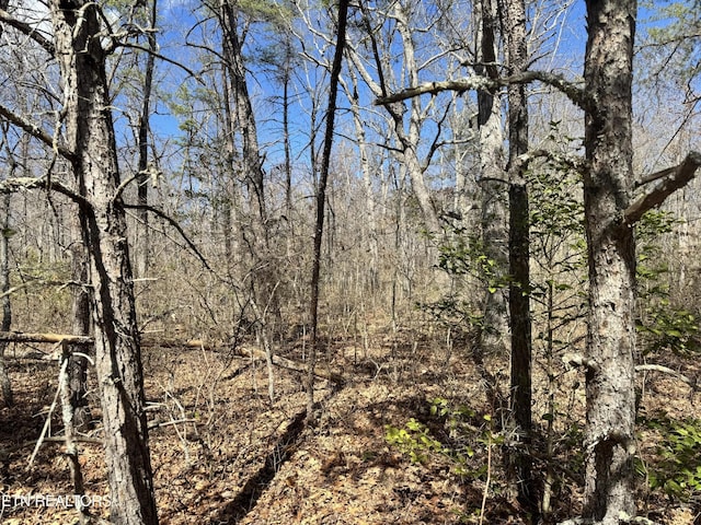 0 Divide Trl, Monterey, TN 38574 - photo 1