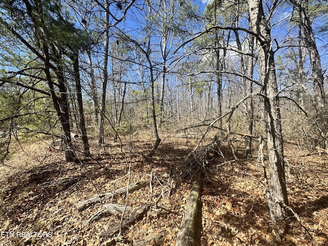 0 Divide Trl, Monterey, TN 38574 - photo 3