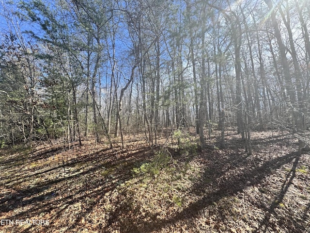0 N Laurel Loop, Monterey, TN 38574 - photo 7