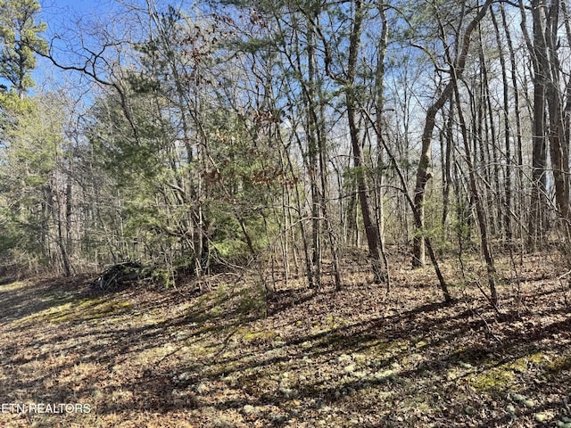 0 N Laurel Loop, Monterey, TN 38574 - photo 4