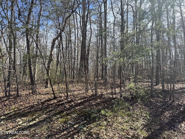 0 N Laurel Loop, Monterey, TN 38574 - photo 1