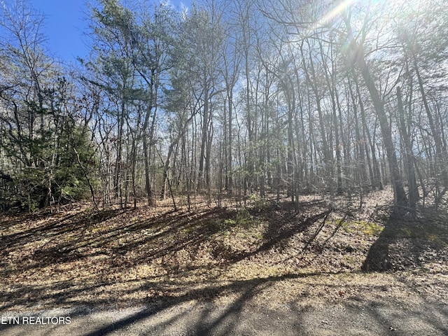 0 N Laurel Loop, Monterey, TN 38574 - photo 2