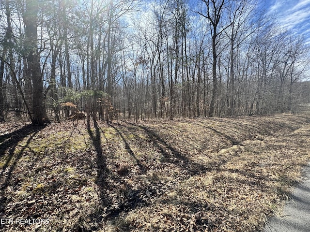 0 Davidson Dr, Monterey, TN 38574 - photo 4
