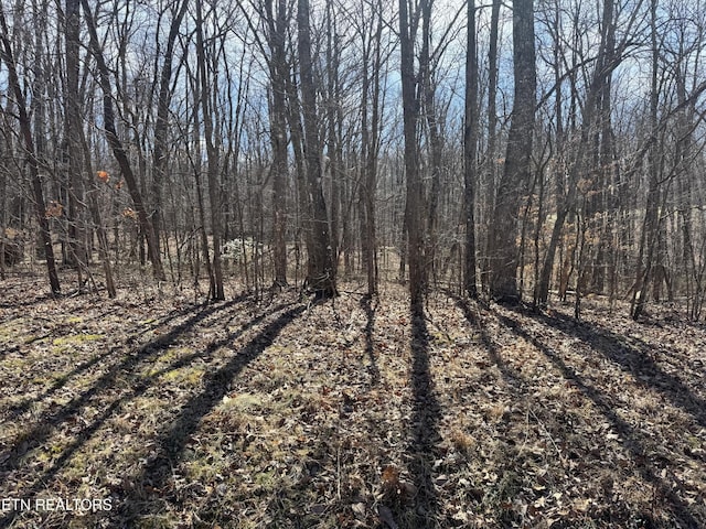 0 Davidson Dr, Monterey, TN 38574 - photo 1