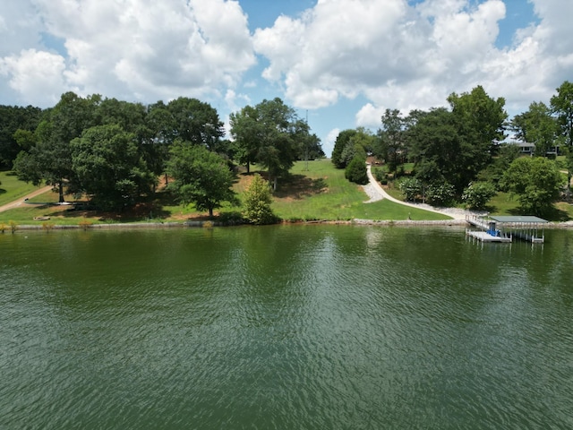 0 Hickory Hill Dr, Estill Springs, TN 37330 - photo 10