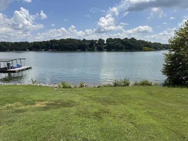 0 Hickory Hill Dr, Estill Springs, TN 37330 - photo 19