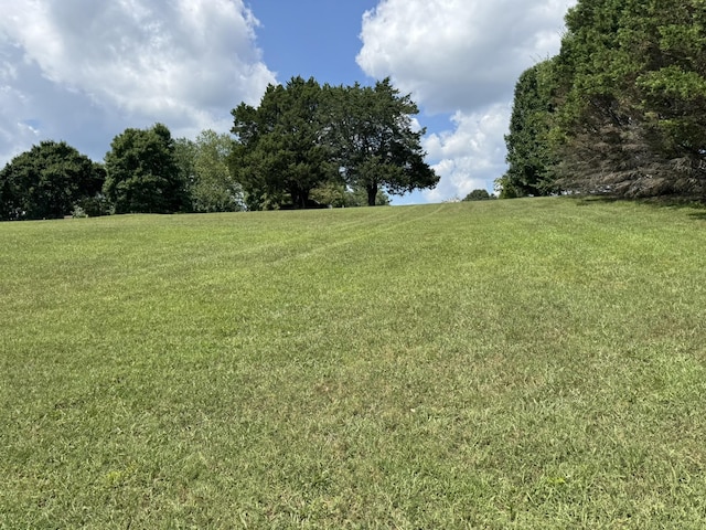 0 Hickory Hill Dr, Estill Springs, TN 37330 - photo 24