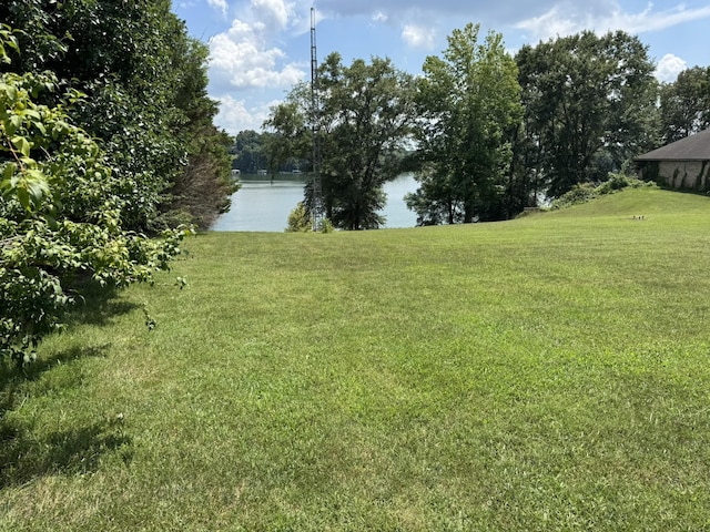 0 Hickory Hill Dr, Estill Springs, TN 37330 - photo 16