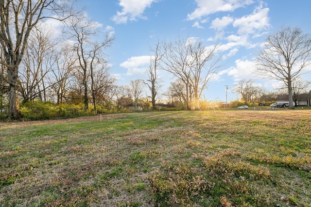 1712 River Dr, Nashville, TN 37218 - photo 13