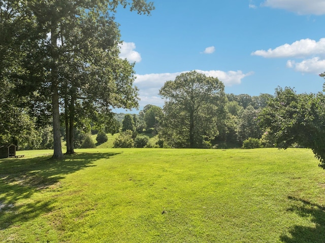 6036 New Highway 7, Santa Fe, TN 38482 - photo 37