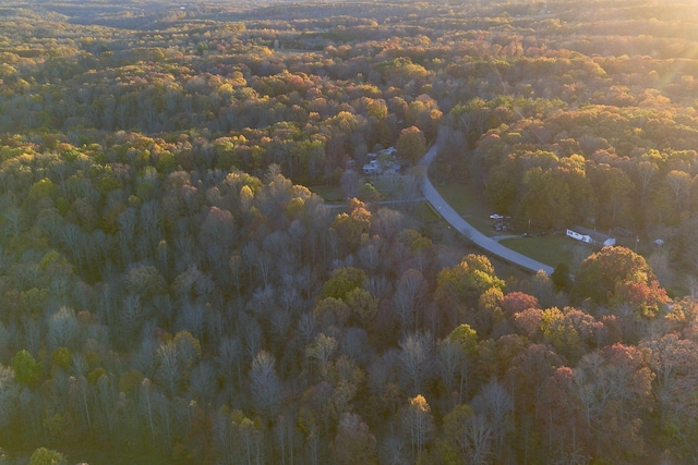 0 Davis Hollow Rd, Franklin, TN 37064 - photo 15