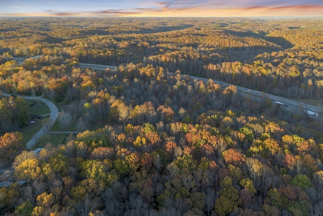 0 Davis Hollow Rd, Franklin, TN 37064 - photo 9