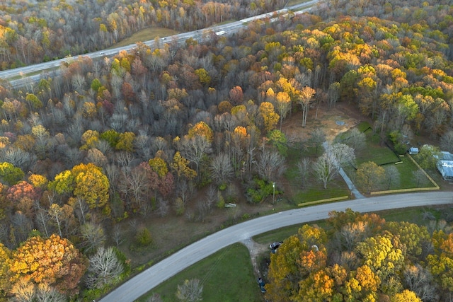 0 Davis Hollow Rd, Franklin, TN 37064 - photo 1
