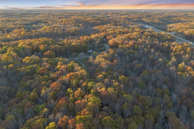 0 Davis Hollow Rd, Franklin, TN 37064 - photo 10