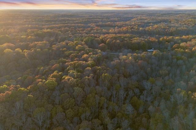 0 Davis Hollow Rd, Franklin, TN 37064 - photo 11