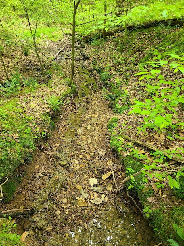 0 Davis Hollow Rd, Franklin, TN 37064 - photo 4