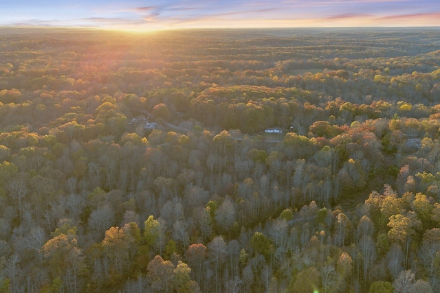 0 Davis Hollow Rd, Franklin, TN 37064 - photo 13