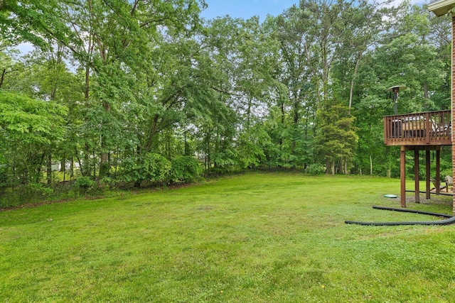 12972 Emerald Bay Dr, Soddy Daisy, TN 37379 - photo 44
