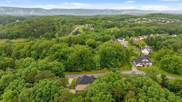 12972 Emerald Bay Dr, Soddy Daisy, TN 37379 - photo 53
