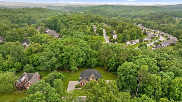 12972 Emerald Bay Dr, Soddy Daisy, TN 37379 - photo 49