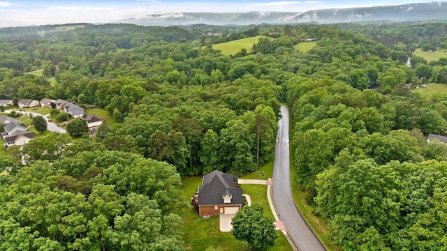 12972 Emerald Bay Dr, Soddy Daisy, TN 37379 - photo 51