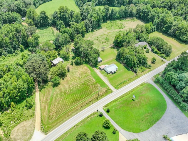126 Campbellsville Pike, Ethridge, TN 38456 - photo 2