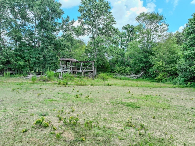 126 Campbellsville Pike, Ethridge, TN 38456 - photo 8