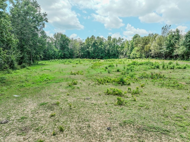 126 Campbellsville Pike, Ethridge, TN 38456 - photo 10
