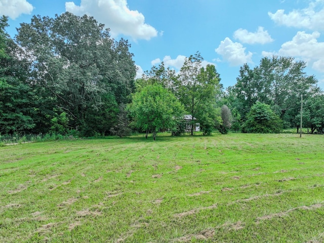 126 Campbellsville Pike, Ethridge, TN 38456 - photo 6