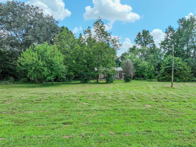 126 Campbellsville Pike, Ethridge, TN 38456 - photo 7
