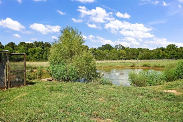 7941 Manus Rd, Readyville, TN 37149 - photo 48