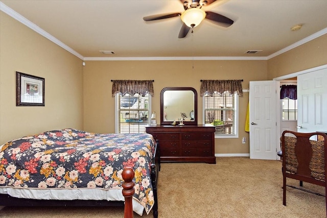 7941 Manus Rd, Readyville, TN 37149 - photo 23