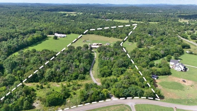 7941 Manus Rd, Readyville, TN 37149 - photo 60
