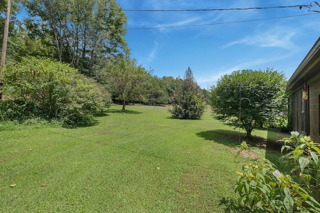 6307 Bell Branch Trl, Nunnelly, TN 37137 - photo 28