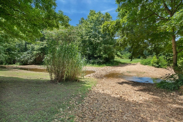 6307 Bell Branch Trl, Nunnelly, TN 37137 - photo 34
