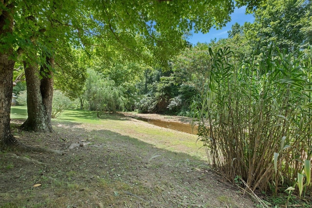 6307 Bell Branch Trl, Nunnelly, TN 37137 - photo 35