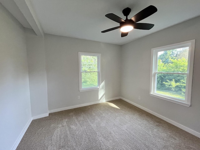 733 E Spring St, Cookeville, TN 38501 - photo 7