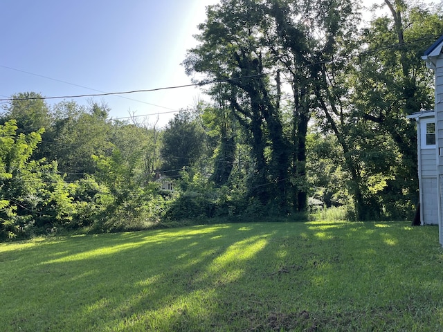 733 E Spring St, Cookeville, TN 38501 - photo 23