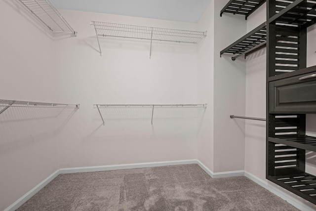 208 Wyburn Pl, Burns, TN 37029 - photo 22