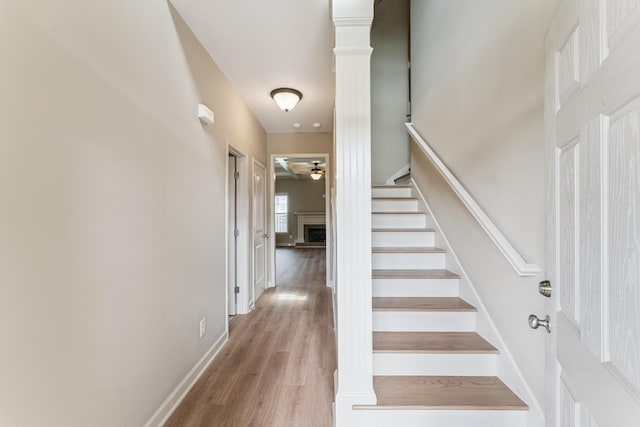 5003 Dubose Ct, Spring Hill, TN 37174 - photo 11
