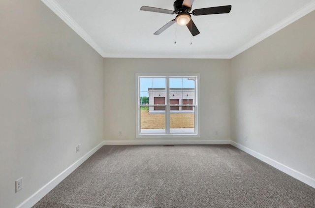 4869 Kedron Rd, Spring Hill, TN 37174 - photo 16