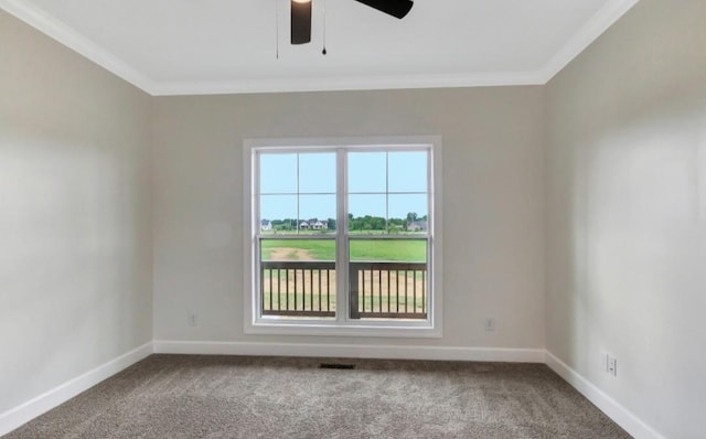 4869 Kedron Rd, Spring Hill, TN 37174 - photo 14