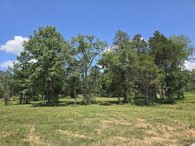 4869 Kedron Rd, Spring Hill, TN 37174 - photo 29