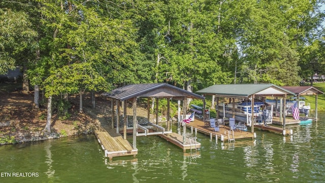 241 Goose Point Dr, Spring City, TN 37381 - photo 32