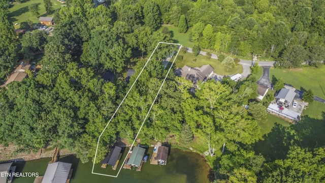 241 Goose Point Dr, Spring City, TN 37381 - photo 33