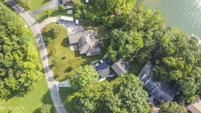241 Goose Point Dr, Spring City, TN 37381 - photo 29