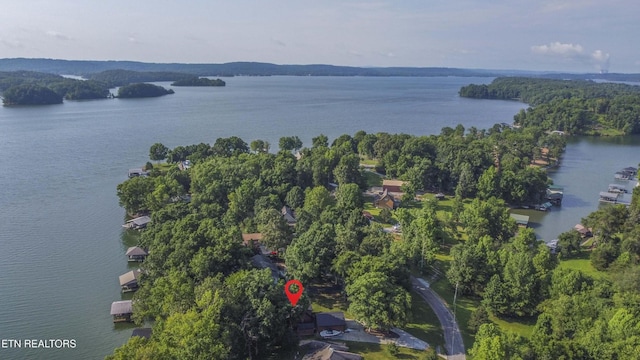 241 Goose Point Dr, Spring City, TN 37381 - photo 34